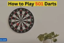 How to Play 501 Darts