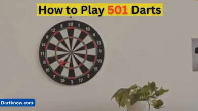 How to Play 501 Darts