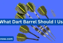 What Dart Barrel Should I Use