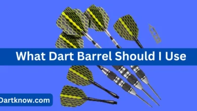 What Dart Barrel Should I Use